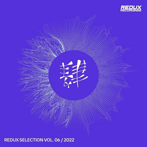VA - Redux Selection Vol 6 / 2022 (2022)