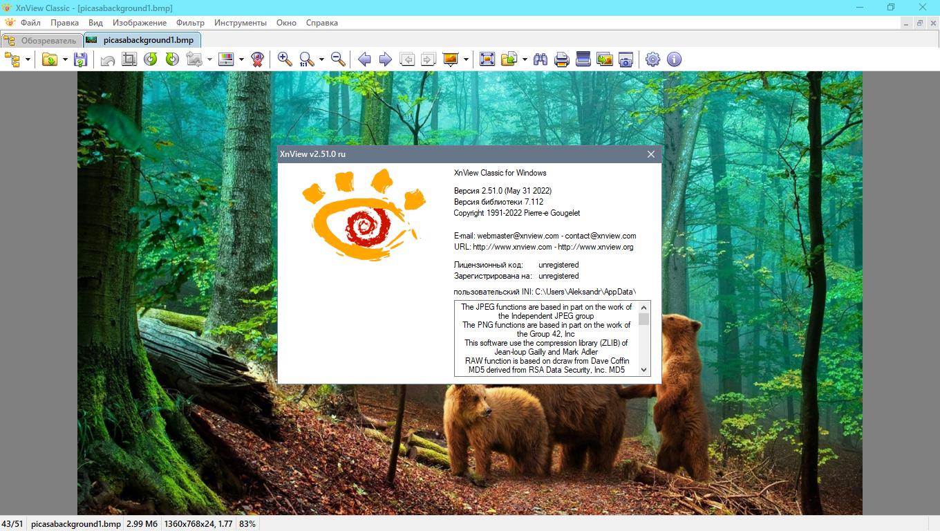 XnView Classic 2.51.0 [Minimal-Standard-Extended] (2021) РС | + Portable