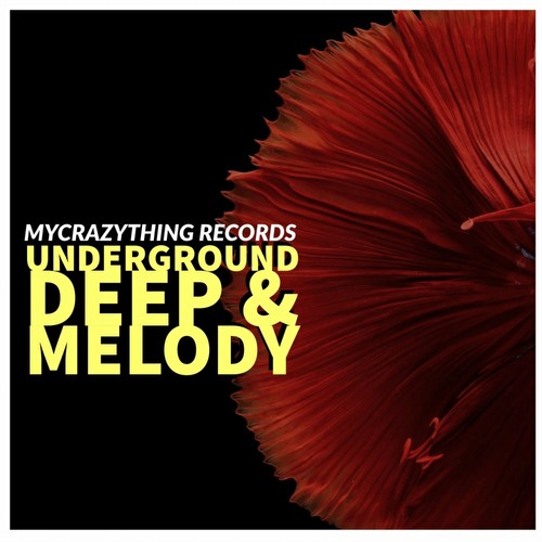 VA - Underground Deep & Melody (2022)