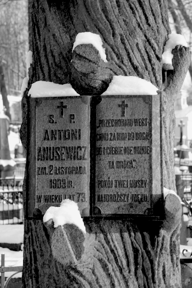 Посещение Бернардинского кладбища в Вильнюсе