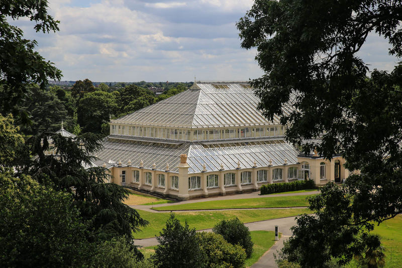 Сады Кью (Лондон) - экскурсия по Королевскому ботаническому саду