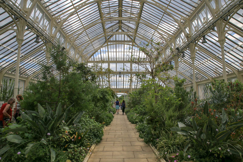 Сады Кью (Лондон) - экскурсия по Королевскому ботаническому саду