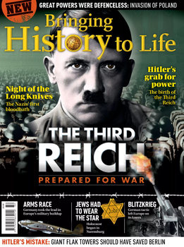 The Third Reich (Bringing History to Life)