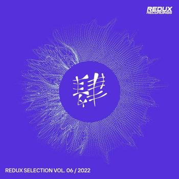 VA - Redux Selection Vol 6 / 2022 (MP3)
