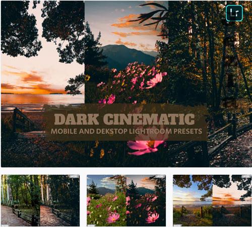 Dark Cinematic Lightroom Presets Dekstop Mobile