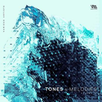 VA - Tones & Melodies Vol 11 (2022) (MP3)