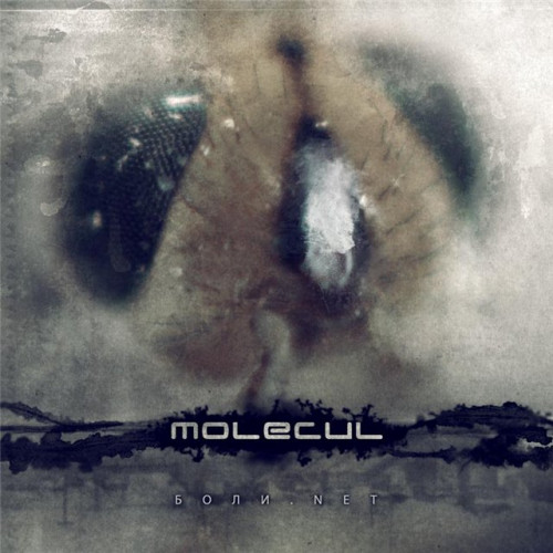 Molecul - .Net (2008) Lossless+mp3