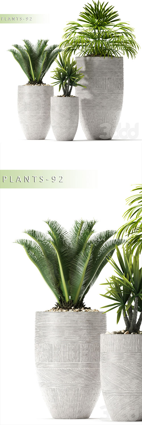 Plants 92 3D Model