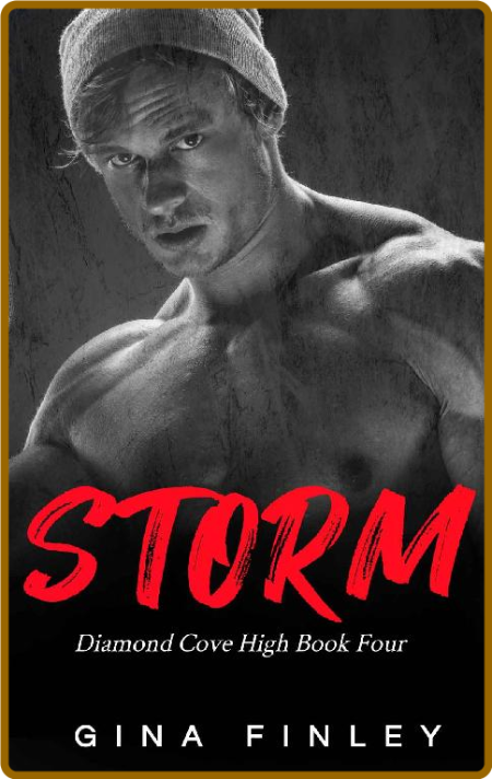 Storm  A Dark High School Bully - Gina Finley B06a937cf95a507c4ada6cf48f1a6b9e