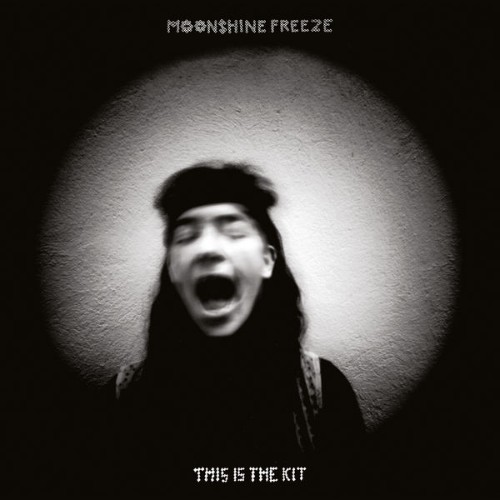 This Is The Kit - Moonshine Freeze (2017) [16B-44 1kHz]