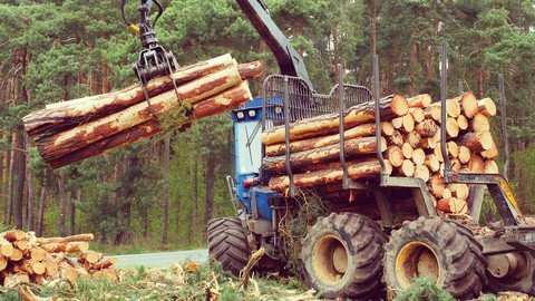 Forestry 4.0 – The Forestry Industry in Industry 4.0
