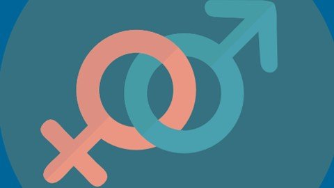 Udemy - Fundamentals of Gender Equality