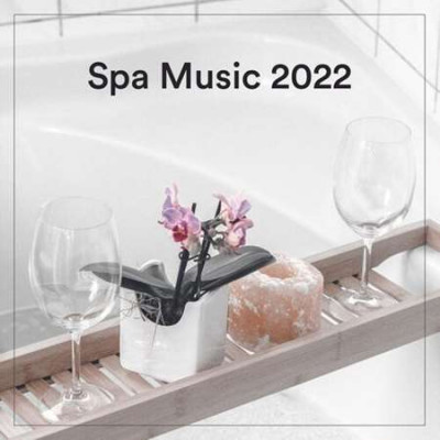 VA - Spa Music (2022)