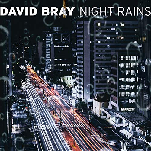 David Bray - Night Rains (2016)