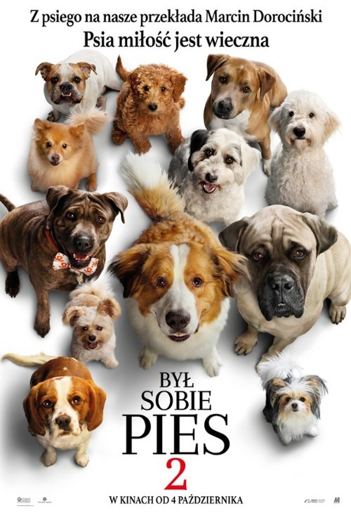 Był sobie pies 2 / A Dogs Journey (2019) PLDUB.720p.BluRay.x264.AC3-LTS ~ Dubbing PL