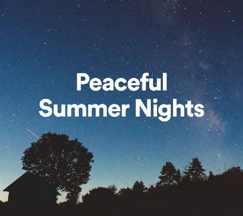 Peaceful Summer Nights (2022)