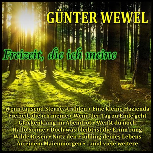 Günter Wewel - Freizeit die ich meine (2019) [16B-44 1kHz]