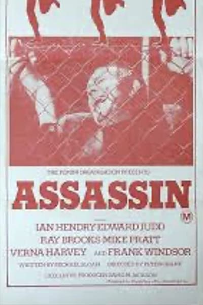 Assassin (1973) [720p] [BluRay]