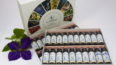 Energy Healing with Flower Remedies