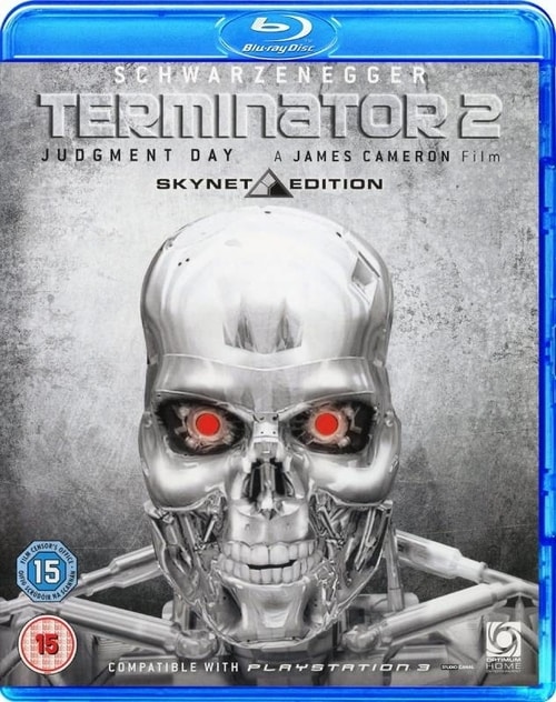 Terminator 2: Dzień sądu / Terminator 2: Judgment Day (1991) PL.1080p.BluRay.x264.AC3-LTS ~ Lektor PL