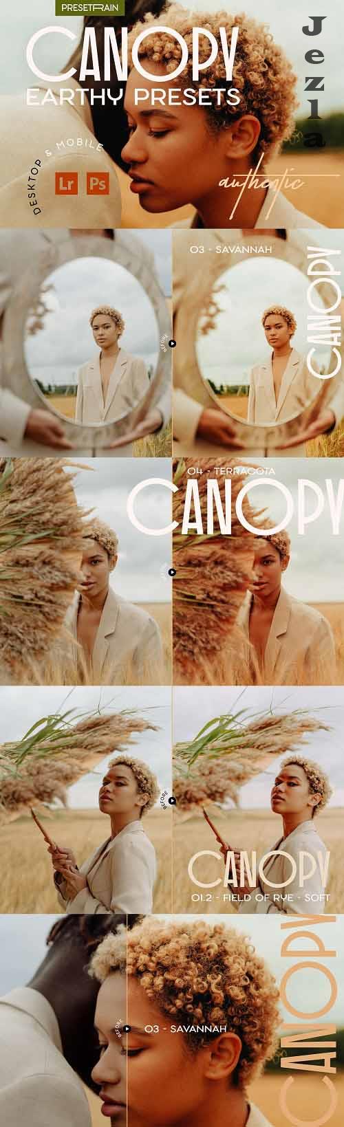 Canopy - Earthy Lightroom Presets - 7249254