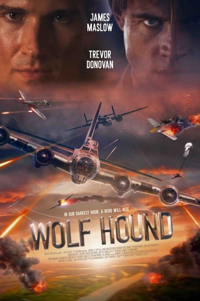 Wolf Hound [2022] HDRip XviD AC3-EVO