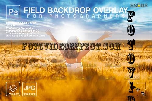 Ukraine Field Background - 7259714