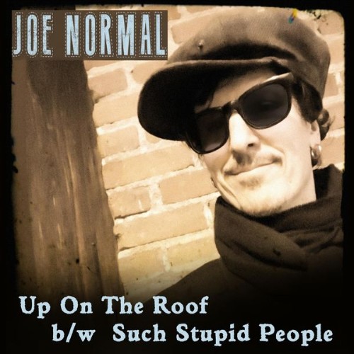 Joe Normal - Up on the Roof (2020) [16B-44 1kHz]