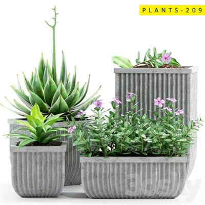 PLANTS 209