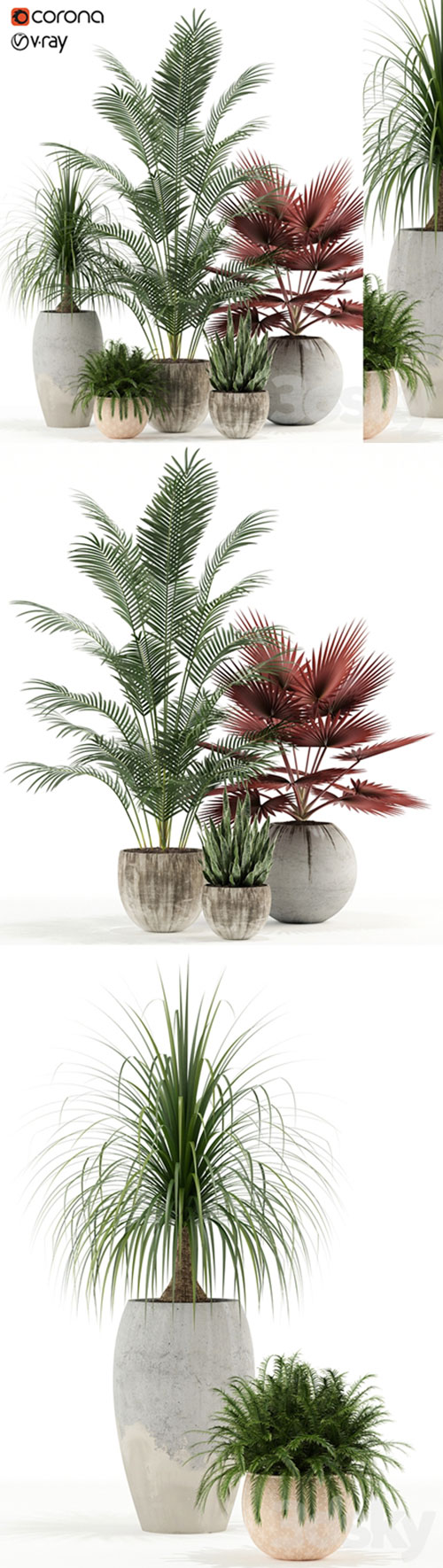 Plants collection 122 3D Model