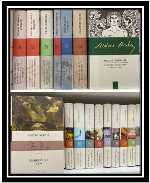 Книжная «NEO-Классика» (49 книг) + Книжная «Библиотека классики» (29 книг) [