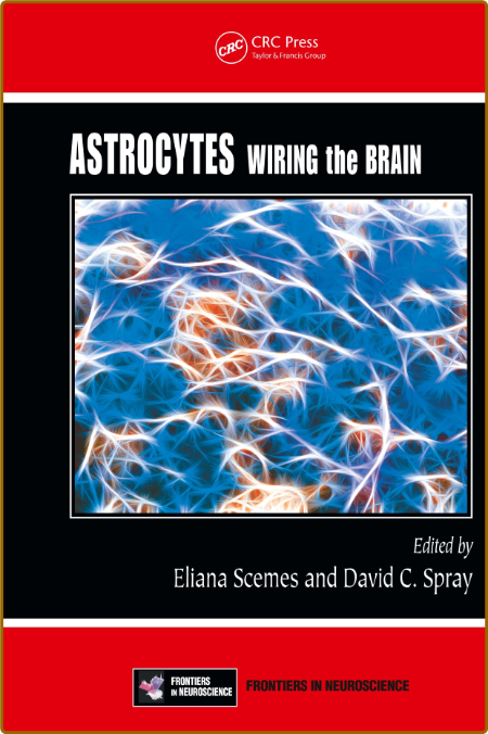 Astrocytes Wiring the Brain