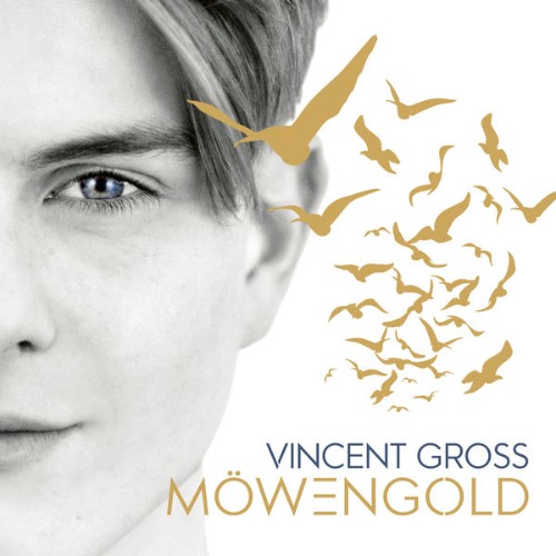 Vincent Gross - Möwengold (2018) [16B-44 1kHz]