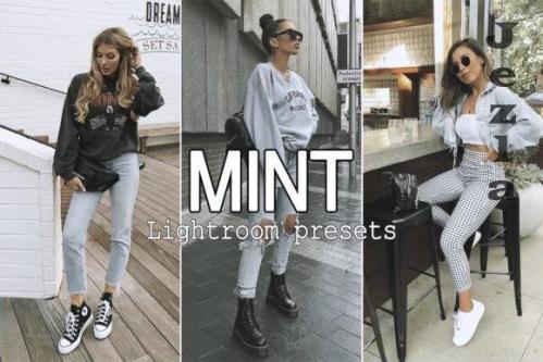 7 Mint Lightroom Presets - 7279133