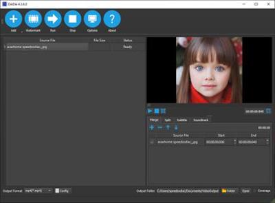 DikDik Video Kit 5.3.0.0 Multilingual Portable