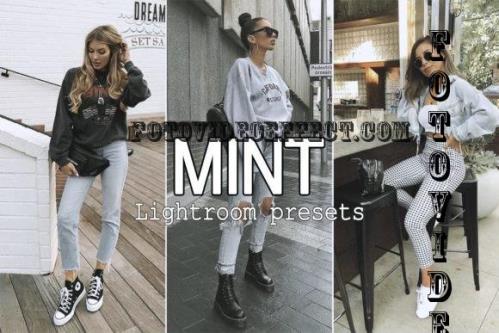 7 Mint Lightroom Presets - 7279133