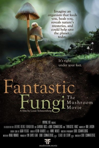 Moving Art - Fantastic Fungi (2019)