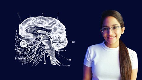 Cranial Nerves Anatomy Simplified