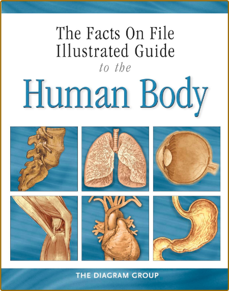 The Illustrated Guide To The Human Body - Skeletal And Muscular System