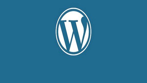 Wordpress Clueless To Professional Web Developer
