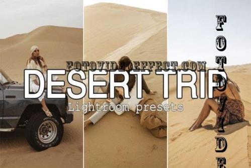 8 Desert Trip Lightroom Presets - 7248124