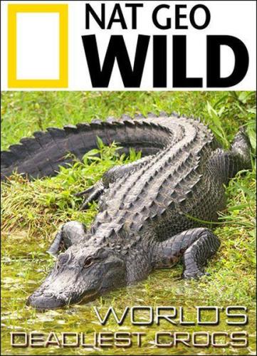 Самые опасные крокодилы мира / World's Deadliest Crocs (2019) HDTVRip