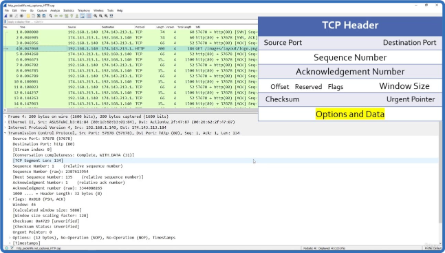 Wireshark Packet Analysis Training  GET CERTIFICATE