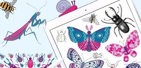 Procreate Sketchbook Fun – 10 Days of Butterflies, Bugs and Beasties