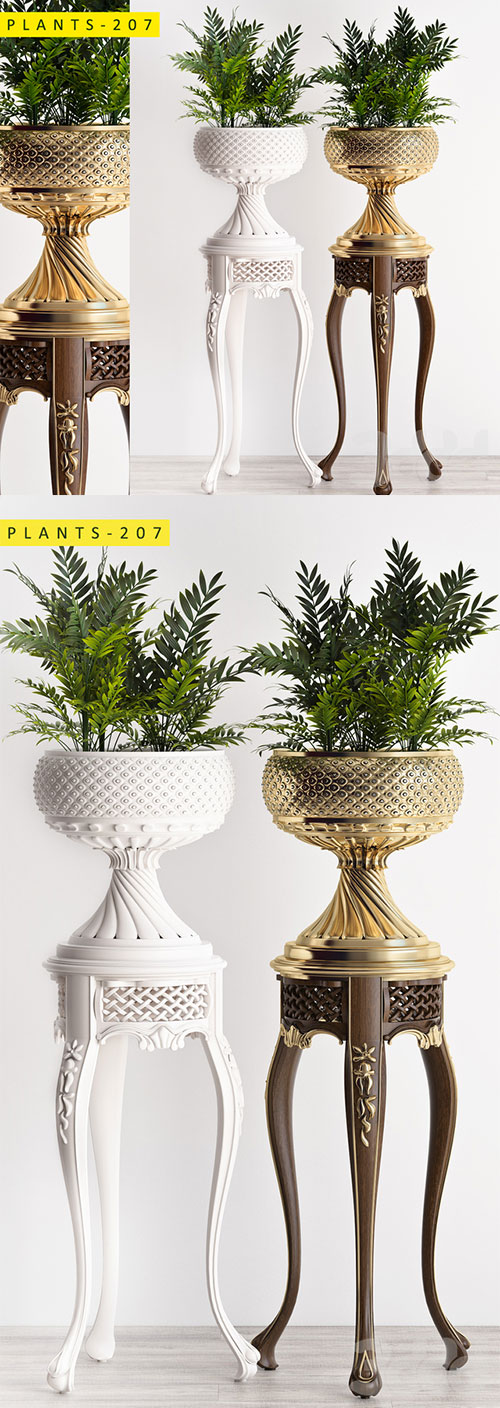 Plants 207 3D Model