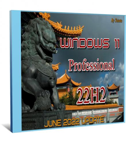 Windows 11 Professional 22621.160 by Tatata (x64) (2022) (Zn-ch)