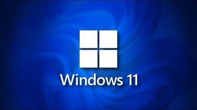 Windows 11 21H2 Build 22000.739 AIO 10in1 OEM ESD en-US Preactivated June 2022 (x64)