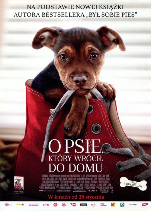 O psie, który wrócił do domu / A Dogs Way Home (2019) PLDUB.720p.BluRay.x264.AC3-LTS ~ Dubbing PL