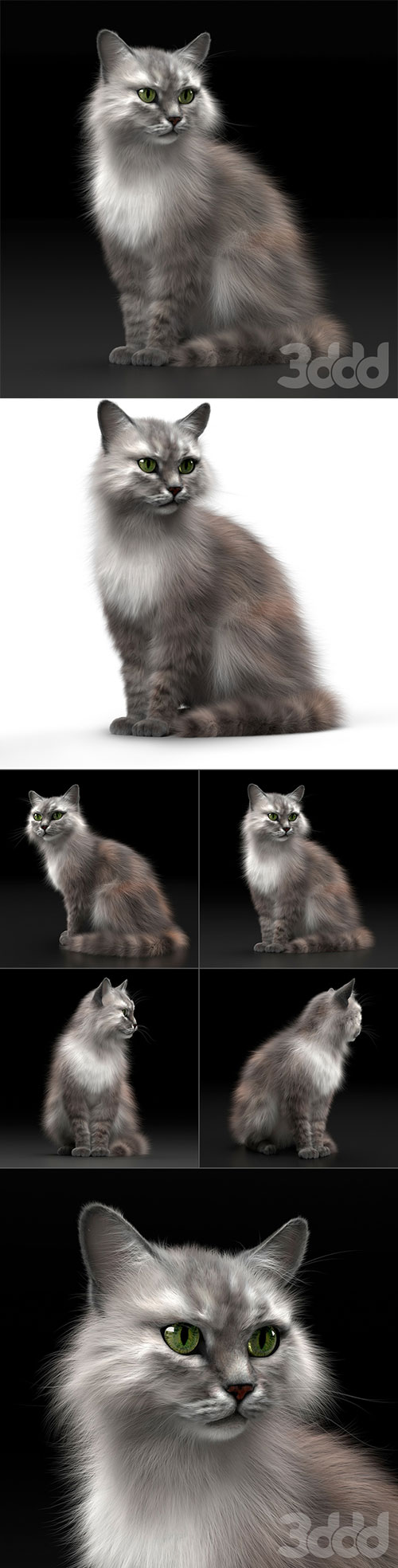 CAT 3 3D Model