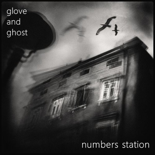 Glove and Ghost - Numbers Station (2019) [24B-44 1kHz]
